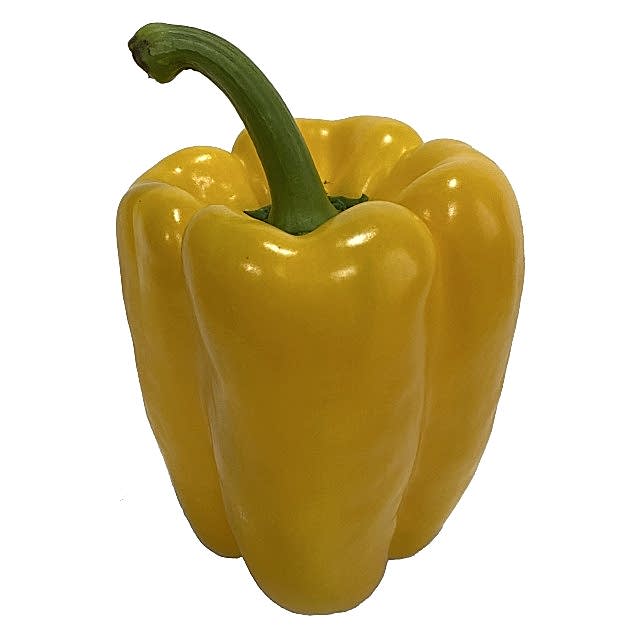TLP03 F1 Sarı Kaliforniya